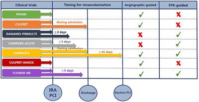 Frontiers Current recommendations for revascularization of non